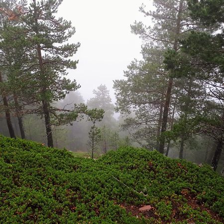 B&B En Valdemoro De La Sierra Экстерьер фото